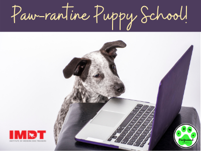 Paw-rantine Puppy School